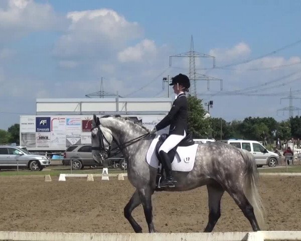 Heinsberger Dressur- und Springtage 2016