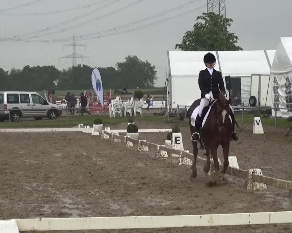 Heinsberger Dressur- und Springtage 2016