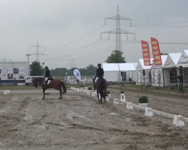 Heinsberger Dressur- und Springtage 2016