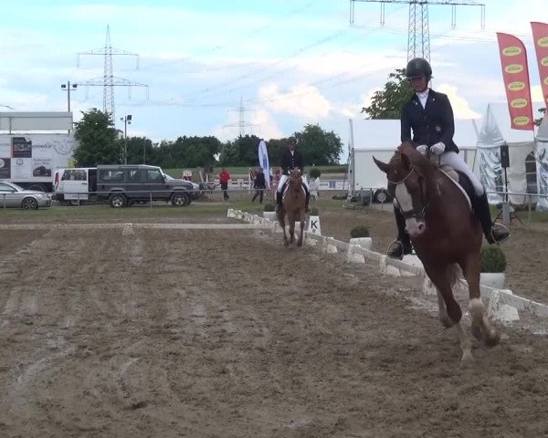 Heinsberger Dressur- und Springtage 2016