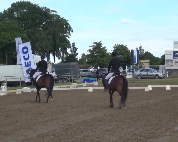Heinsberger Dressur- und Springtage 2016