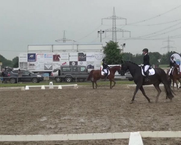 Heinsberger Dressur- und Springtage 2016