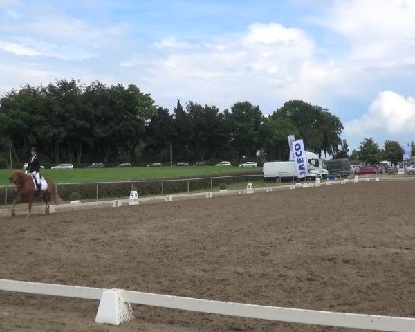 Heinsberger Dressur- und Springtage 2016