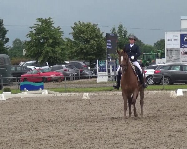 Heinsberger Dressur- und Springtage 2016