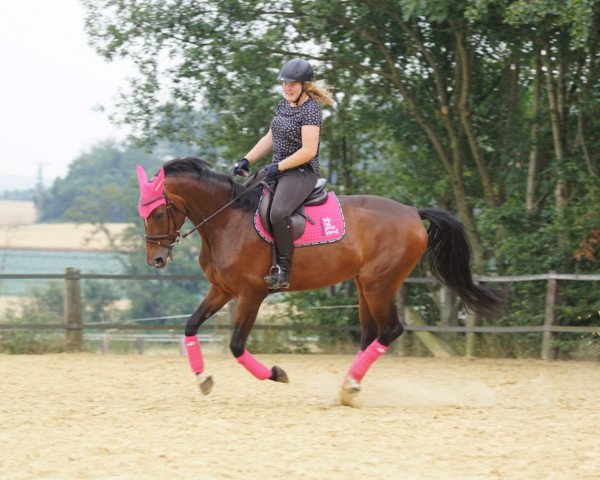 jumper Peppa (Westphalian, 2014, from Pilothago Dxb) jumper Peppa (Westphalian, 2014, from Pilothago Dxb)
