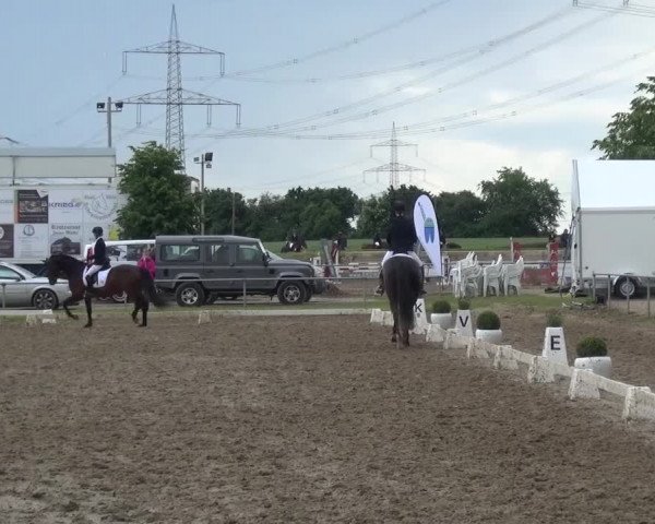 Heinsberger Dressur- und Springtage 2016