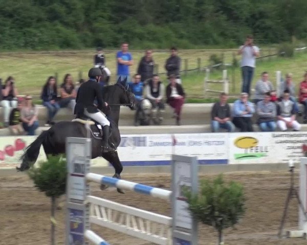 Heinsberger Dressur- und Springtage 2016