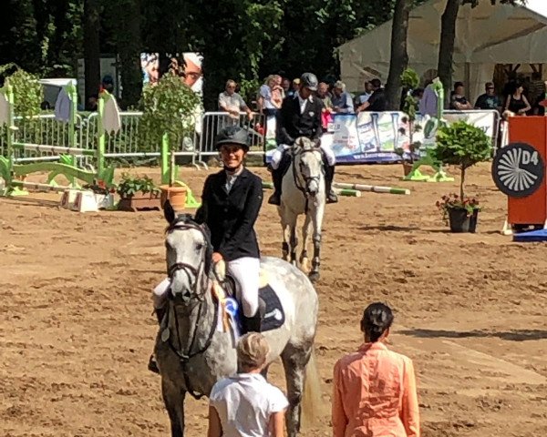 jumper Lotta 236 (Hanoverian, 2012, from Levisonn 208 FIN)