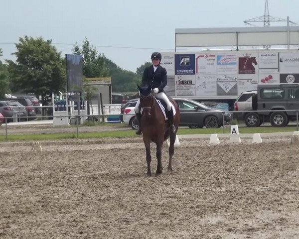 Heinsberger Dressur- und Springtage 2016