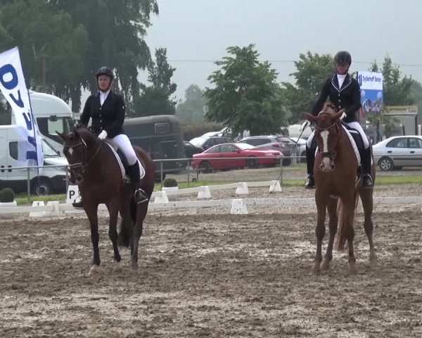 Heinsberger Dressur- und Springtage 2016