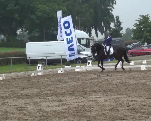Heinsberger Dressur- und Springtage 2016