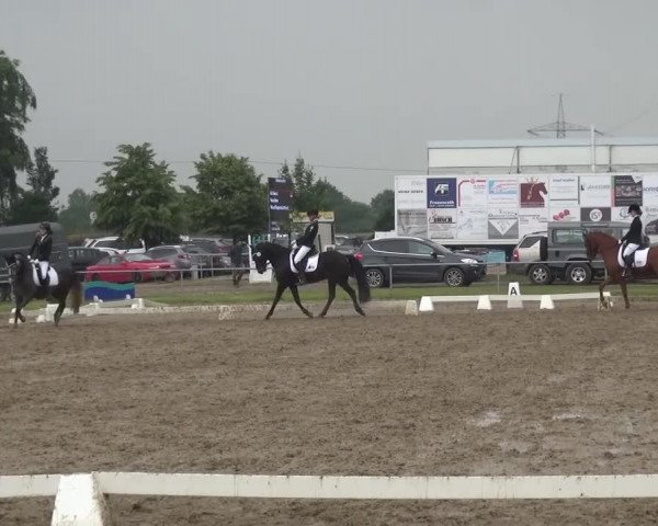 Heinsberger Dressur- und Springtage 2016