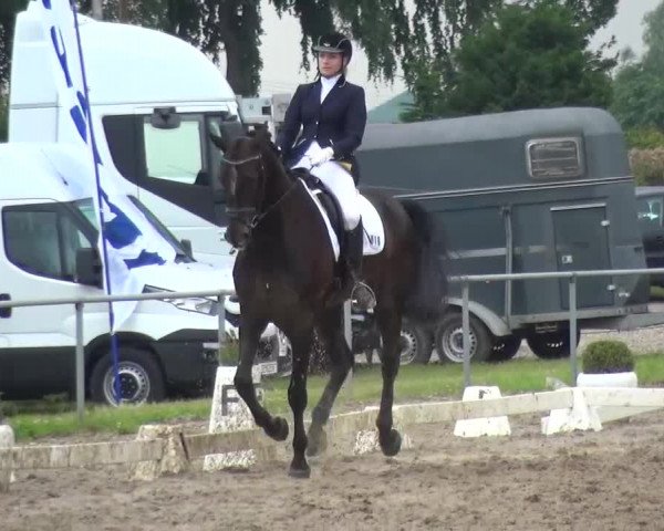 Heinsberger Dressur- und Springtage 2016