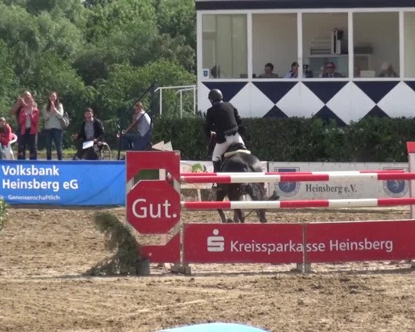 Heinsberger Dressur- und Springtage 2016
