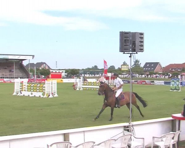 Fehmarn-Pferde-Festival  2016