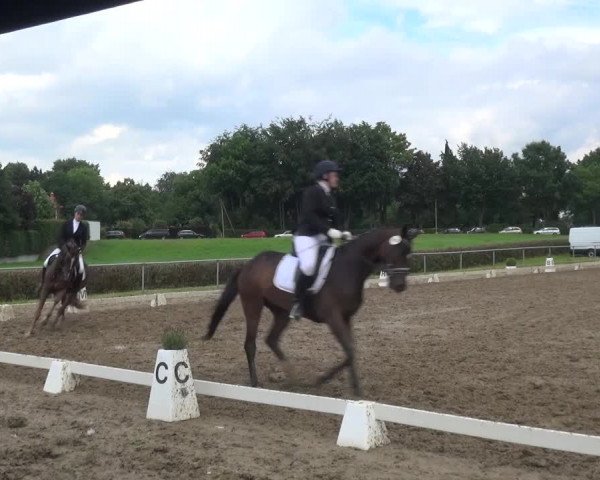 Heinsberger Dressur- und Springtage 2016