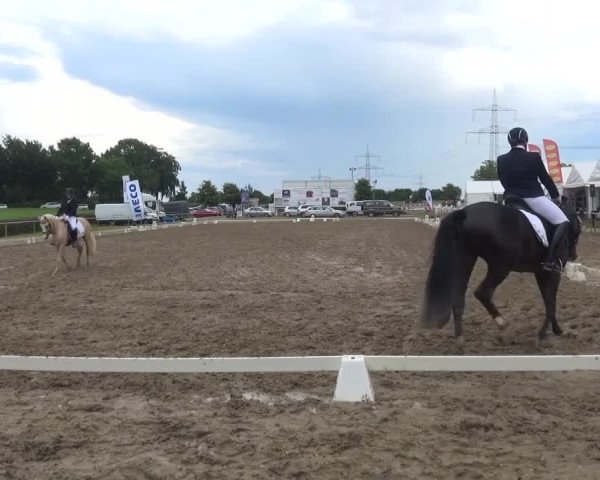 Heinsberger Dressur- und Springtage 2016