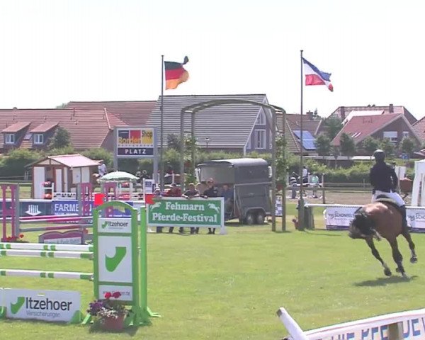 Fehmarn-Pferde-Festival  2016
