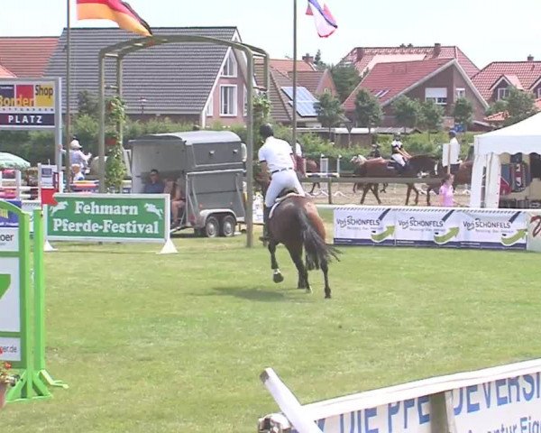 Fehmarn-Pferde-Festival  2016