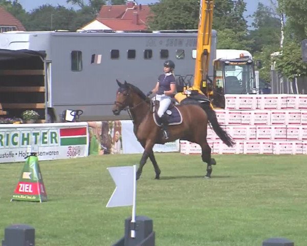 Fehmarn-Pferde-Festival  2016