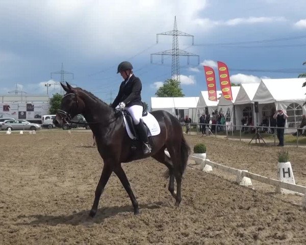 Heinsberger Dressur- und Springtage 2016