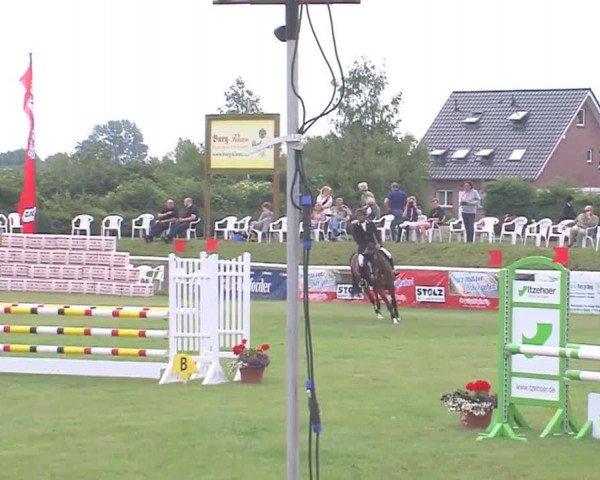 Fehmarn-Pferde-Festival  2016