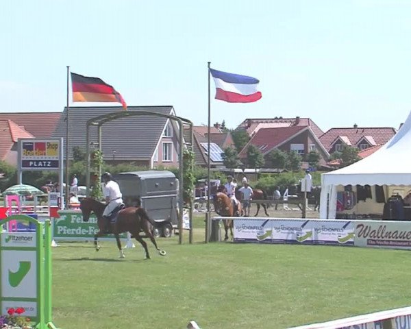 Fehmarn-Pferde-Festival  2016