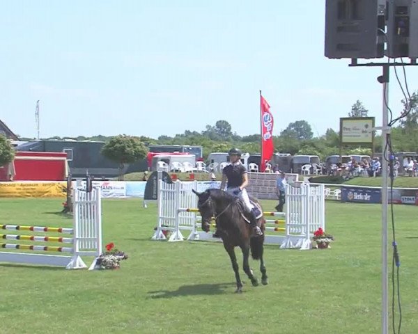 Fehmarn-Pferde-Festival  2016
