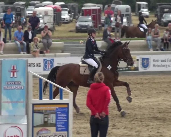 Heinsberger Dressur- und Springtage 2016