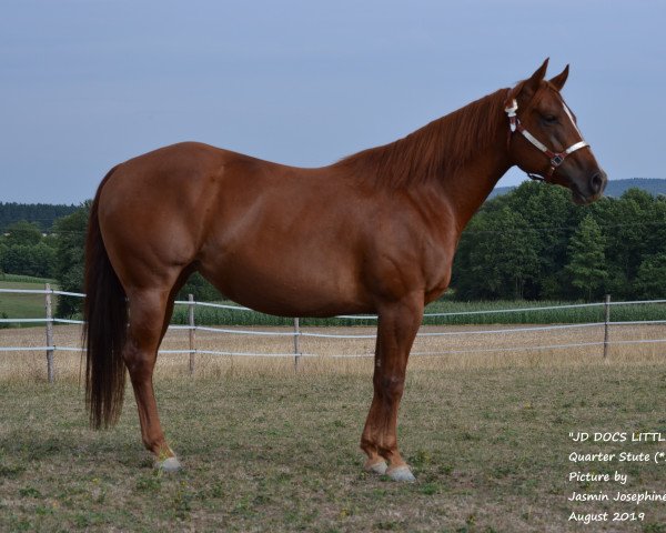 broodmare JD Docs Little Lena (Quarter Horse, 2014, from Docs Gun)