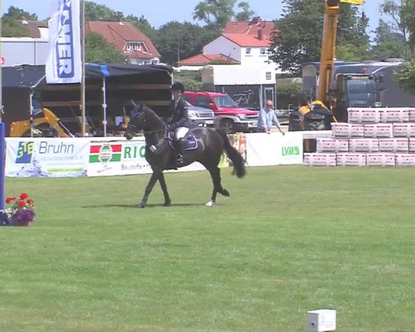 Fehmarn-Pferde-Festival  2016