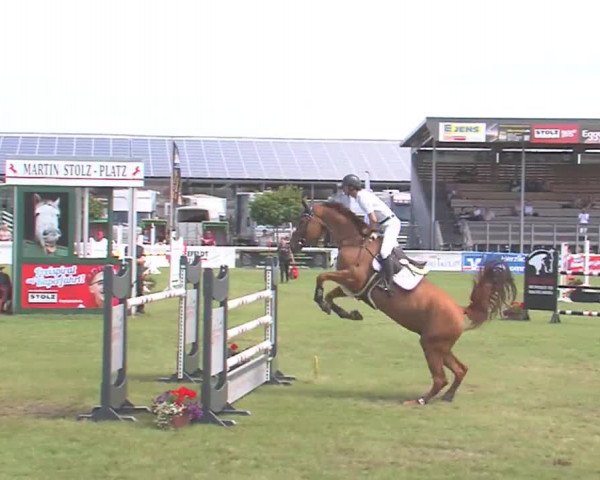 Fehmarn-Pferde-Festival  2016