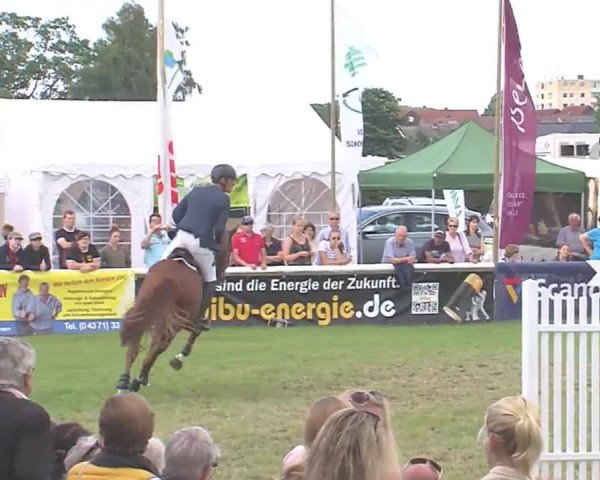 Fehmarn-Pferde-Festival  2016
