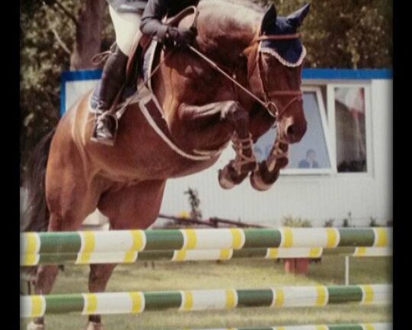 jumper Palue (Rhinelander, 1999, from Potsdam)