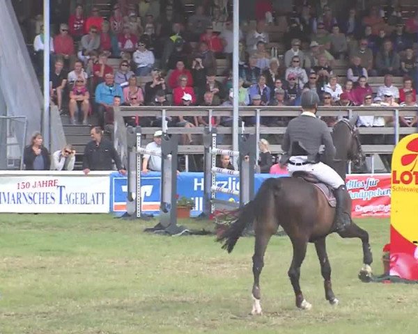 Fehmarn-Pferde-Festival  2016