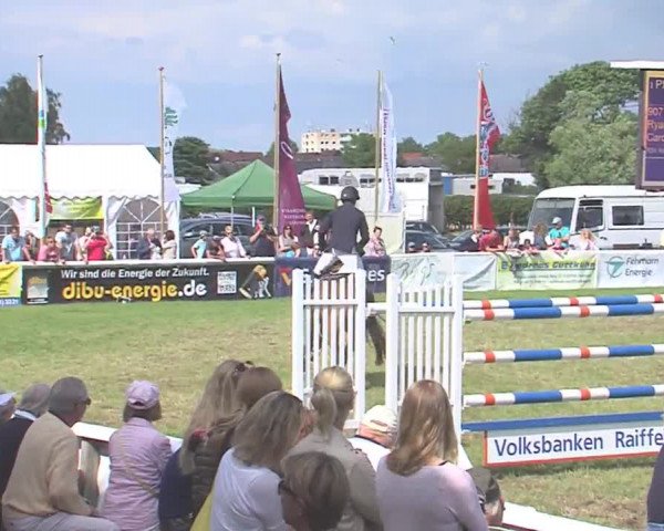 Fehmarn-Pferde-Festival  2016