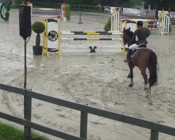 Reitturnier Kalenborn Hegehof 2016