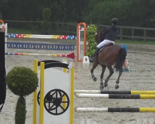 Reitturnier Kalenborn Hegehof 2016