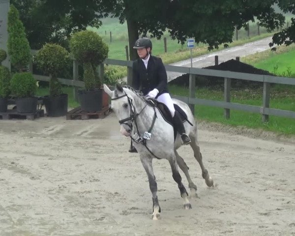 Reitturnier Kalenborn Hegehof 2016