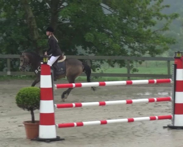 Reitturnier Kalenborn Hegehof 2016