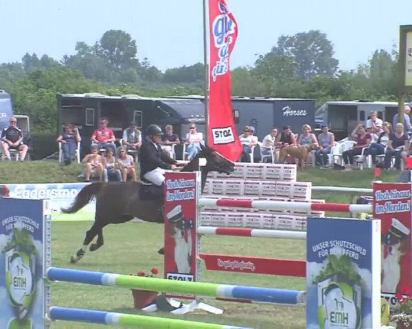 Fehmarn-Pferde-Festival  2016