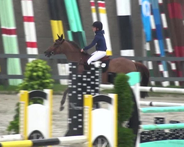 Reitturnier Kalenborn Hegehof 2016