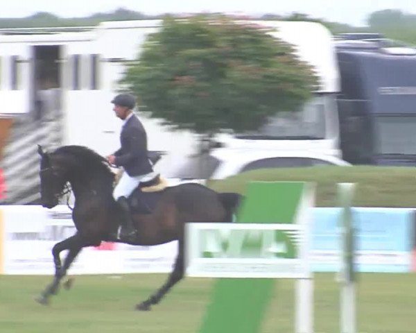 Fehmarn-Pferde-Festival  2016