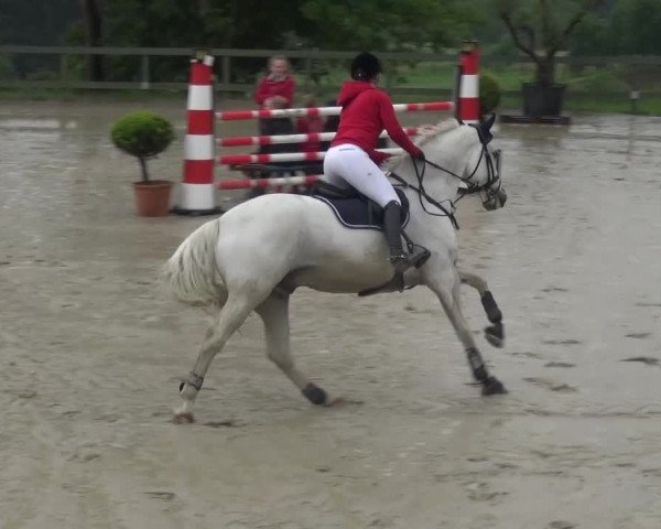 Reitturnier Kalenborn Hegehof 2016