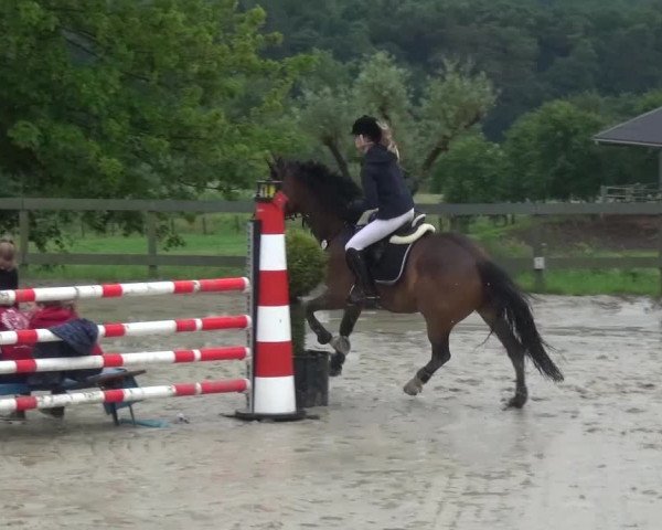 Reitturnier Kalenborn Hegehof 2016