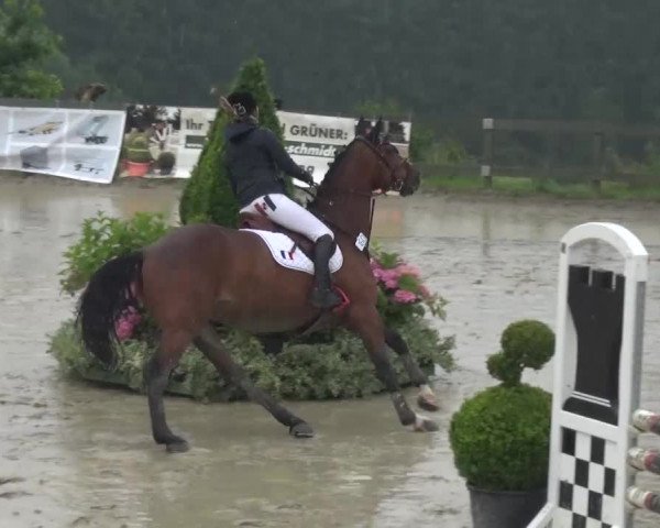 Reitturnier Kalenborn Hegehof 2016