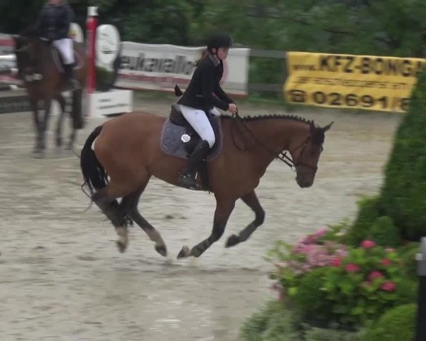Reitturnier Kalenborn Hegehof 2016