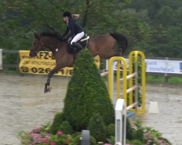 Reitturnier Kalenborn Hegehof 2016