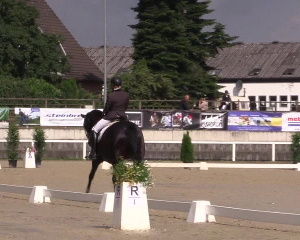 Reitturnier Melle-Ostenfelde 2016