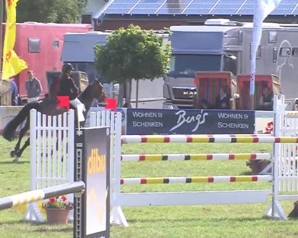 Fehmarn-Pferde-Festival  2016
